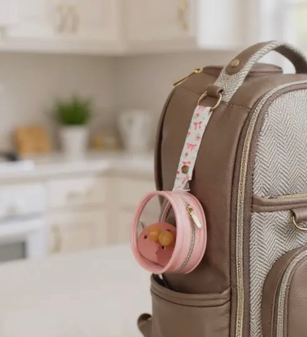 Itzy Paci Case - Ribbons and Roses