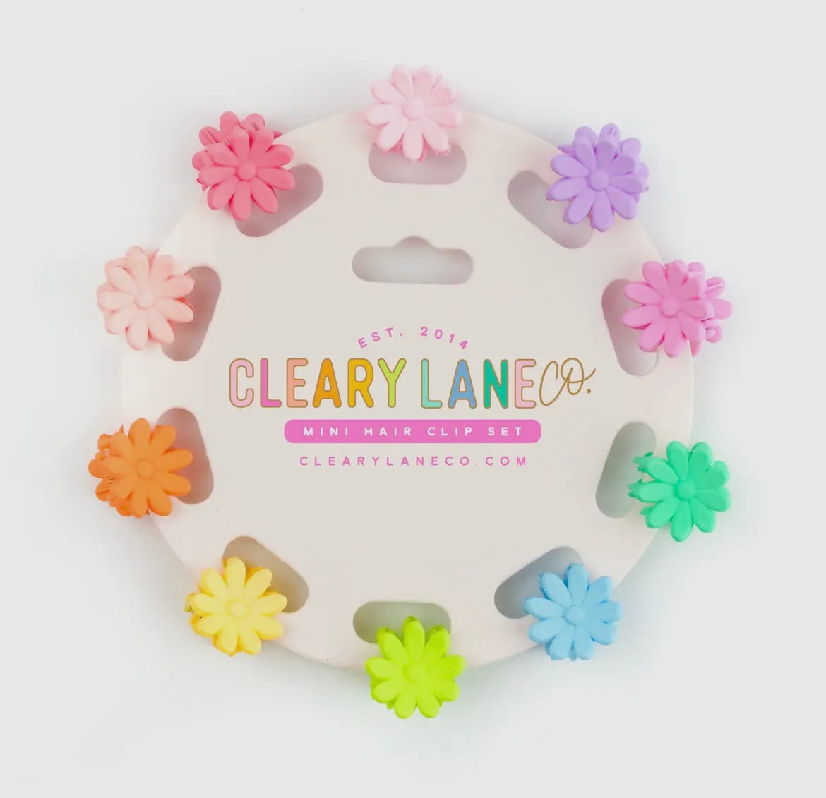 Mini Matte Flowers Hair Clip Set