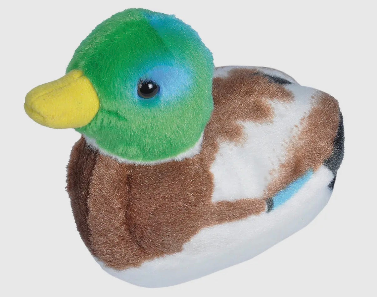 Small Duck Stuffed Animal