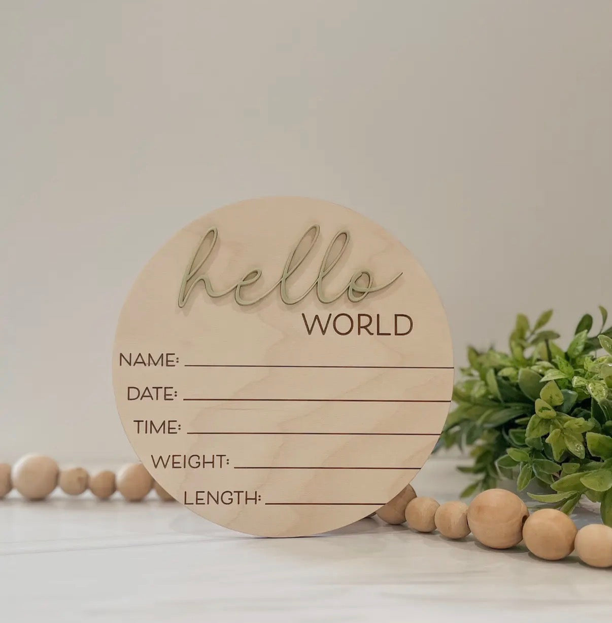 Hello World Announcement Disc- Eucalyptus
