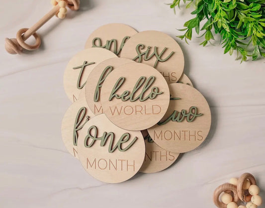 3D Monthly Milestone Discs- Sage