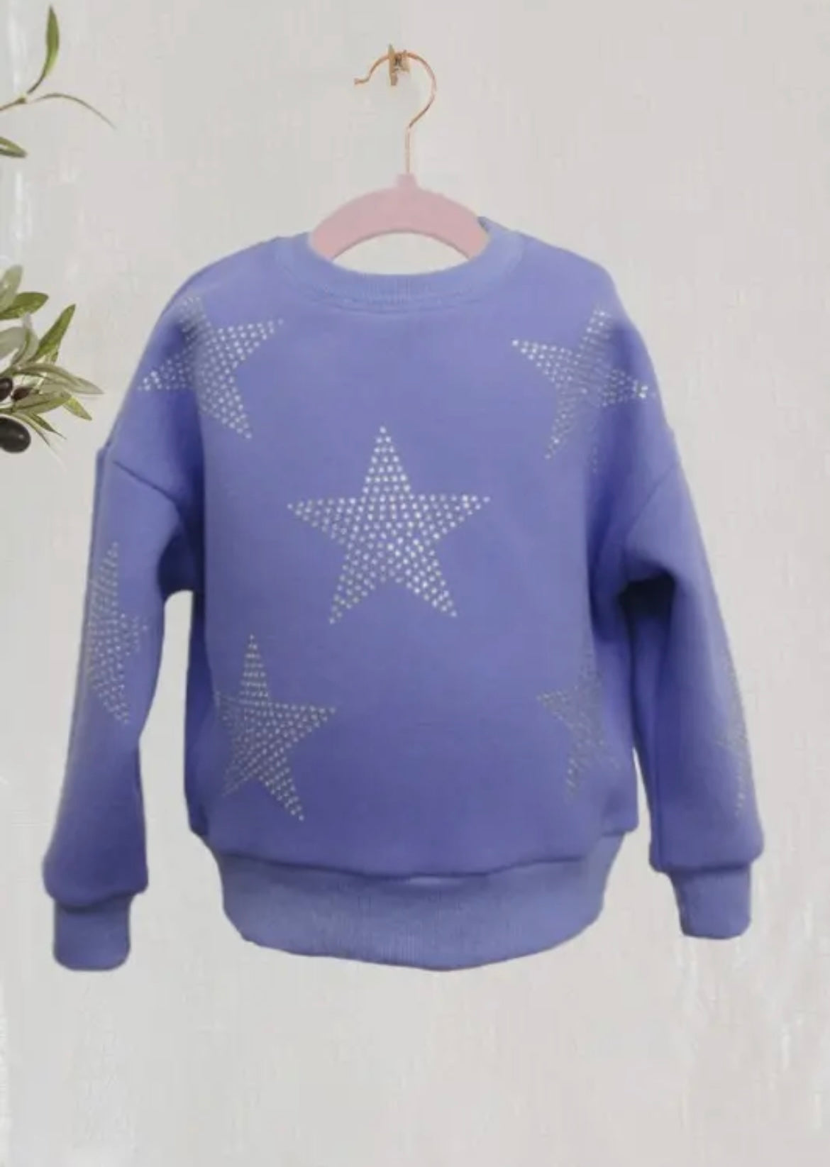 Star Studded Sweatshirt