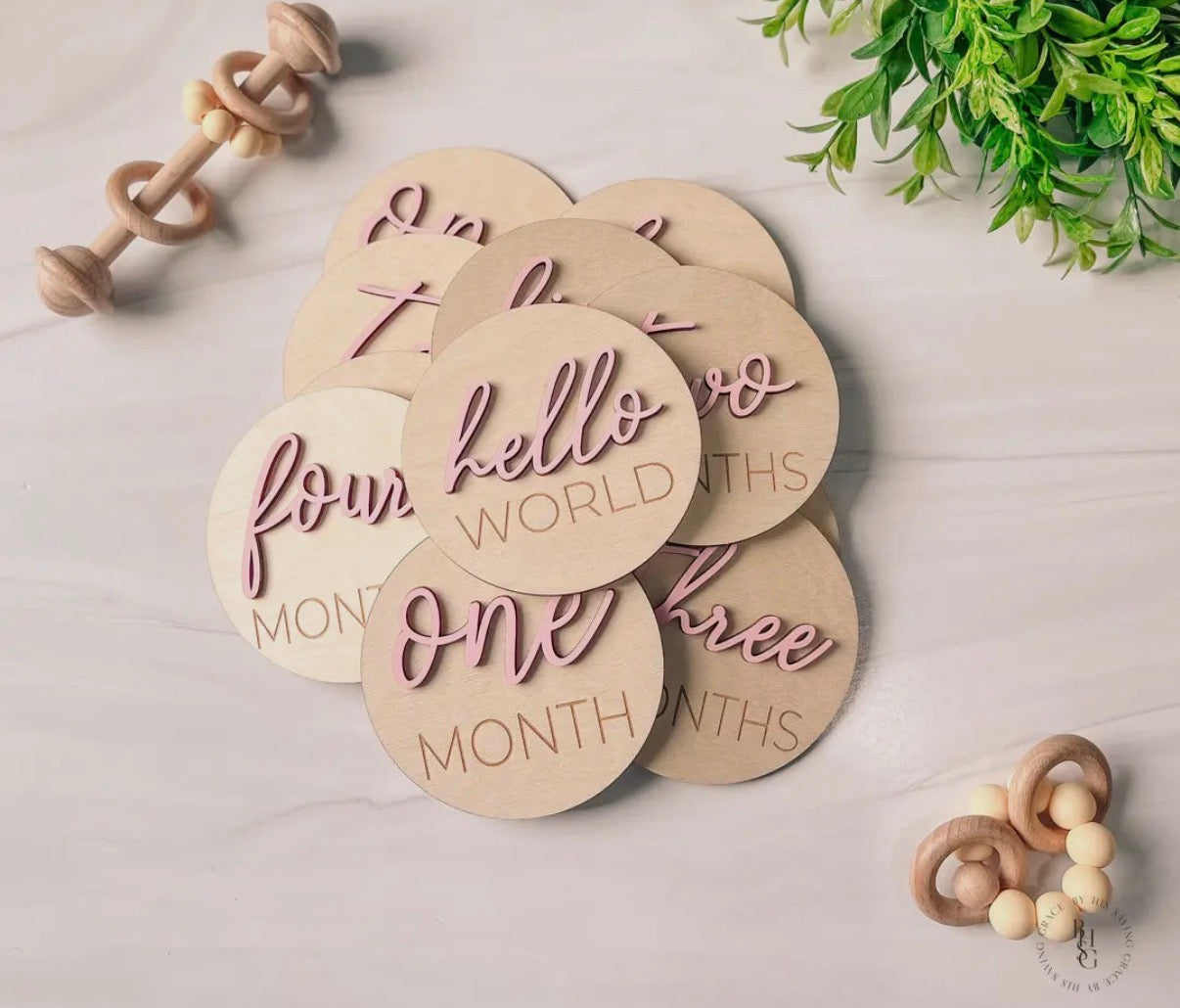 3D Monthly Milestone Discs- Pink