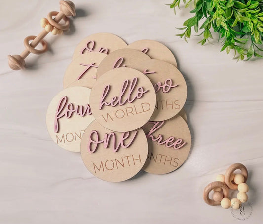 3D Monthly Milestone Discs- Pink