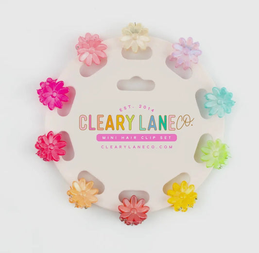 Mini translucent Flower Hair Clip Set